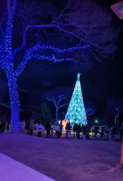 みろくの里に投稿された画像（2025/12/26）