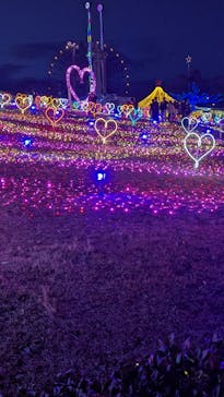 みろくの里に投稿された画像（2025/12/26）