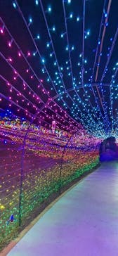 みろくの里に投稿された画像（2025/12/26）