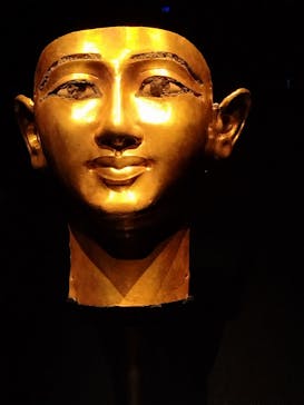 ACN ラムセス大王展 ファラオたちの黄金に投稿された画像（2025/12/26）