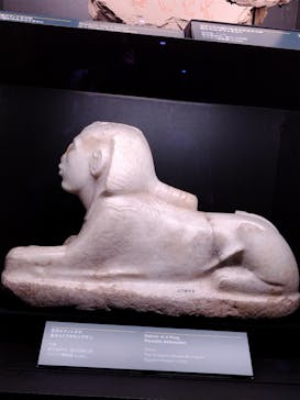 ACN ラムセス大王展 ファラオたちの黄金に投稿された画像（2025/12/26）