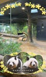 恩賜上野動物園に投稿された画像（2025/12/26）
