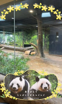 恩賜上野動物園に投稿された画像（2025/12/26）