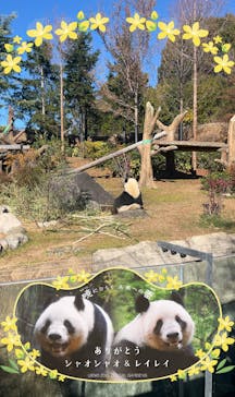 恩賜上野動物園に投稿された画像（2025/12/26）