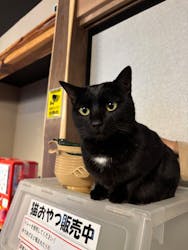 おさるランド＆アニタウン　日光さる軍団劇場に投稿された画像（2025/12/26）