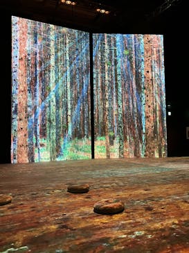 クリムト・アライブ　大阪展 （堂島リバーフォーラム）に投稿された画像（2025/12/26）