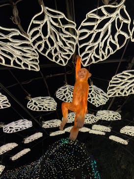 伊豆高原グランイルミに投稿された画像（2025/12/26）