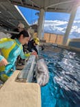 新江ノ島水族館に投稿された画像（2025/12/27）