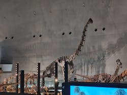 福井県立恐竜博物館に投稿された画像（2025/12/26）