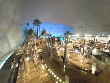 福井県立恐竜博物館に投稿された画像（2025/12/26）