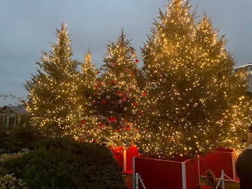 Christmas Market in 横浜赤レンガ倉庫 2025に投稿された画像（2025/12/26）