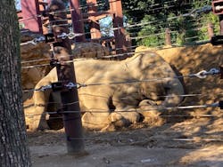 恩賜上野動物園に投稿された画像（2025/12/26）