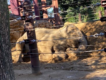 恩賜上野動物園に投稿された画像（2025/12/26）