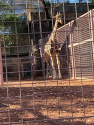 恩賜上野動物園に投稿された画像（2025/12/26）