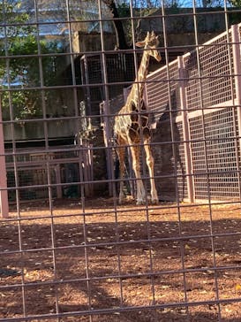 恩賜上野動物園に投稿された画像（2025/12/26）
