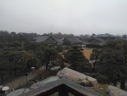 元離宮二条城に投稿された画像（2025/12/26）