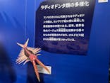 特別展「大絶滅展―生命史のビッグファイブ」に投稿された画像（2025/12/27）
