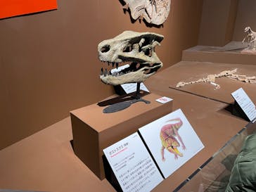 特別展「大絶滅展―生命史のビッグファイブ」に投稿された画像（2025/12/26）
