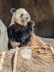 恩賜上野動物園に投稿された画像（2025/12/26）