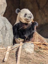 恩賜上野動物園に投稿された画像（2025/12/26）