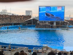 名古屋港水族館に投稿された画像（2025/12/27）