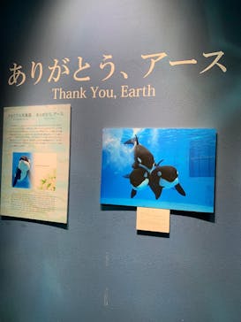 名古屋港水族館に投稿された画像（2025/12/27）