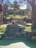 天王寺動物園に投稿された画像（2025/12/27）