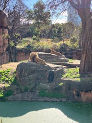 天王寺動物園に投稿された画像（2025/12/27）