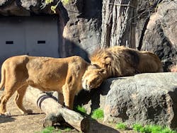 天王寺動物園に投稿された画像（2025/12/27）