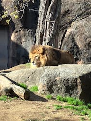天王寺動物園に投稿された画像（2025/12/27）