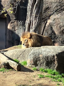 天王寺動物園に投稿された画像（2025/12/27）