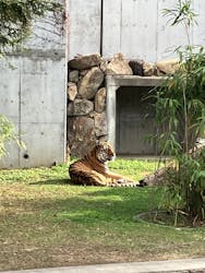 天王寺動物園に投稿された画像（2025/12/27）