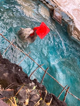 天王寺動物園に投稿された画像（2025/12/27）