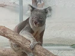 淡路ファームパーク イングランドの丘に投稿された画像（2025/12/27）