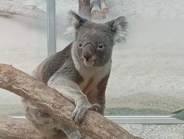 淡路ファームパーク イングランドの丘に投稿された画像（2025/12/27）