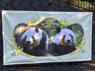 恩賜上野動物園に投稿された画像（2025/12/27）