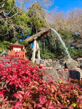 勝尾寺に投稿された画像（2025/12/27）