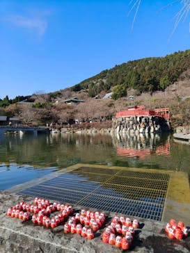 勝尾寺に投稿された画像（2025/12/27）