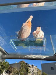 サンシャイン水族館に投稿された画像（2025/12/27）
