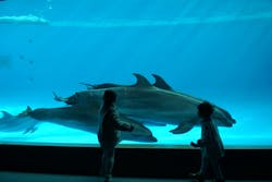 アクアワールド茨城県大洗水族館に投稿された画像（2025/12/27）