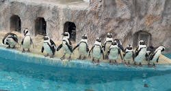 恩賜上野動物園に投稿された画像（2025/12/27）