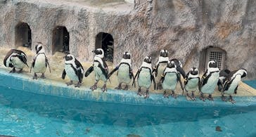 恩賜上野動物園に投稿された画像（2025/12/27）