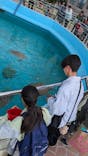 沖縄美ら海水族館に投稿された画像（2025/12/27）