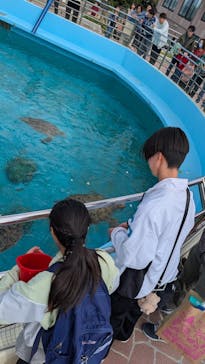沖縄美ら海水族館に投稿された画像（2025/12/27）