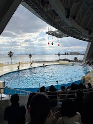 マリンワールド海の中道に投稿された画像（2025/12/27）