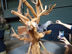 カワスイ 川崎⽔族館に投稿された画像（2025/12/27）