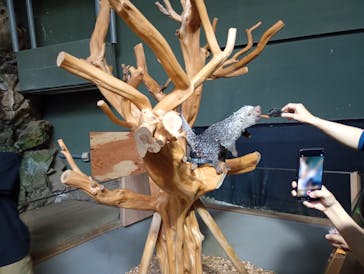 カワスイ 川崎⽔族館に投稿された画像（2025/12/27）