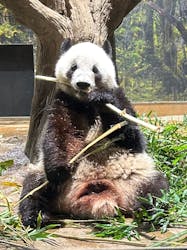 恩賜上野動物園に投稿された画像（2025/12/27）