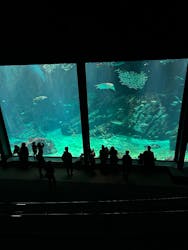 マリンワールド海の中道に投稿された画像（2025/12/27）