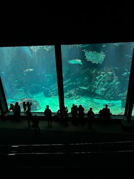 マリンワールド海の中道に投稿された画像（2025/12/27）